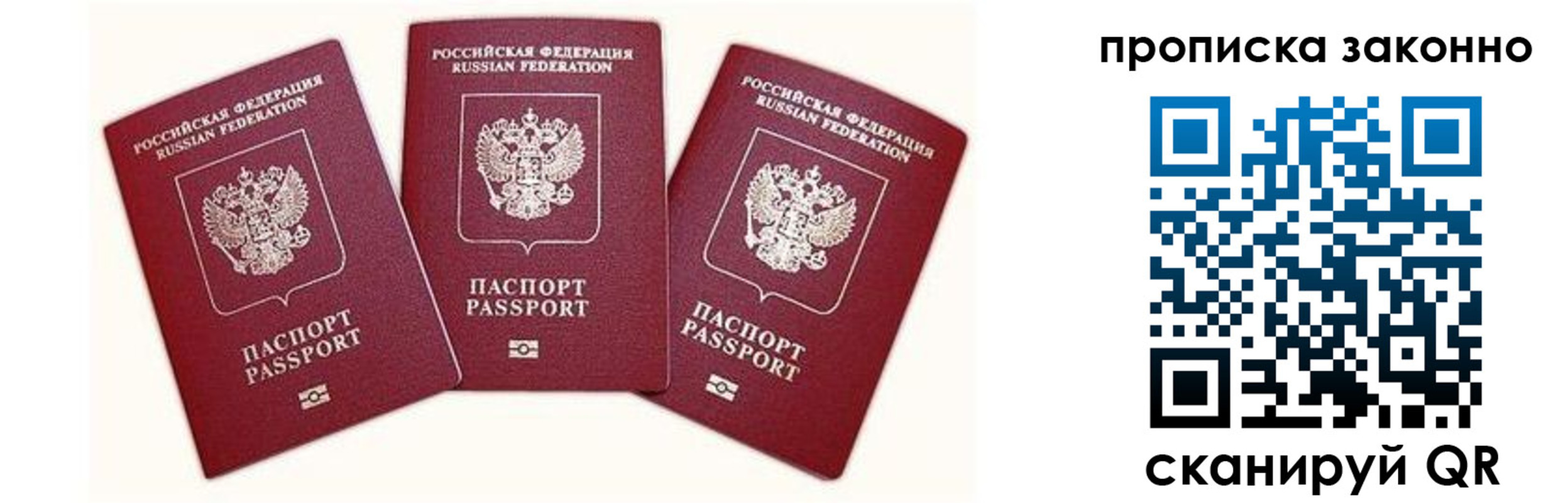 прописка законно в Жердевке